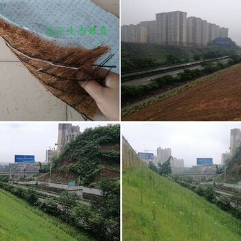 上海普陀边坡抗冲刷植被绿化椰丝复合毯