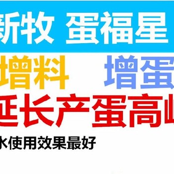 蛋雞增蛋中藥蛋鴨增蛋用什么有效蛋鴨產(chǎn)蛋下降怎樣回升快