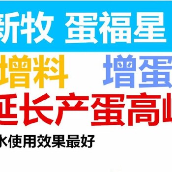 阿拉善盟新牧蛋福星增蛋种鸭不产蛋的原因