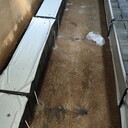 深床生物濾池s型濾磚,城南污水處理廠,塑料濾磚