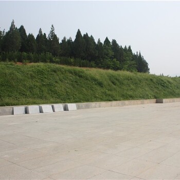 天津南开高速路边坡防护椰丝复合毯