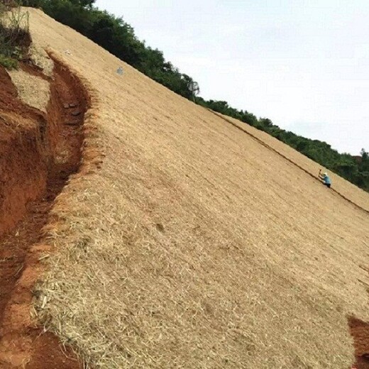 阳泉护坡草毯价格