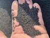 黑龙江正规废碳分子筛回收多少钱一吨