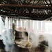 卓翌（噴霧降塵公司）綿陽水霧除塵系統(tǒng)