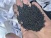 新疆从事废碳分子筛回收价格回收废碳分子筛
