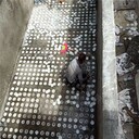 濾池整體澆筑濾板,整體濾池拼接,水廠施工
