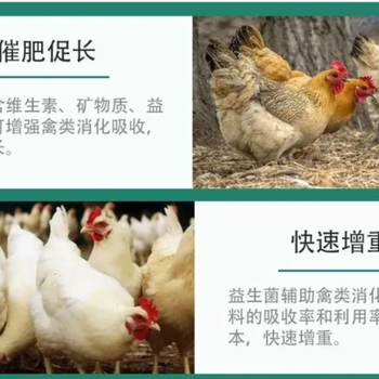 肉鸡增重肉鸭出栏前如何增重猪快速增重的添加剂