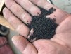 北京碳分子筛回收报价