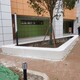 嘉興泰科石坐凳圖