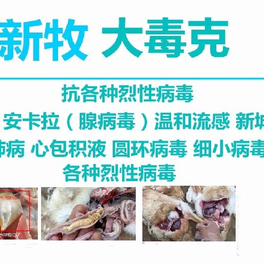 肉鸭黑肺是什么原因鸭黑肺是怎么引起的