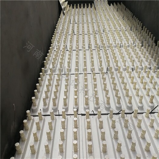 24孔整体滤板模版多孔可变滤板模板自来水厂施工