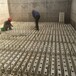 整体滤板模版性能可变孔整体浇筑滤板农村饮水厂