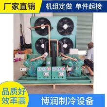 制冷機組冷凍庫DMZL半封閉活塞壓縮機3匹2YD-3.2圖片