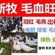 新牧毛血旺冠大毛亮蹬子長圖