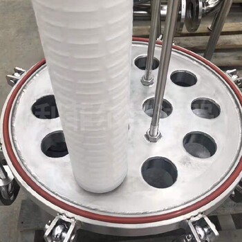 不銹鋼外殼大通量保安過濾器