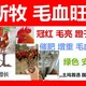 怎樣讓公雞飛爪長得快？圖