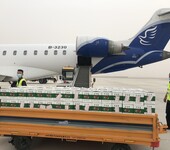 南陽空運烏魯木齊南陽機場航空貨運公司南陽航空快遞航空物流