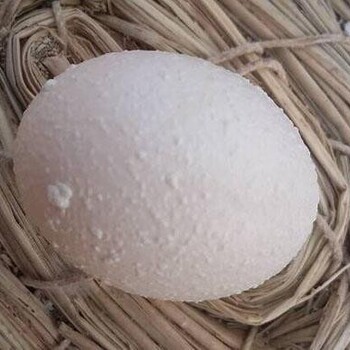 蛋雞輸卵管炎中藥蛋雞卵黃性腹膜炎怎么治療