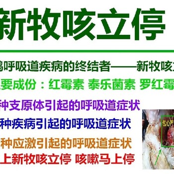 鸭子咳嗽是怎么回事鹅呼吸道药