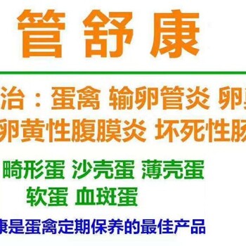 产蛋鸡输卵管炎吃啥药种鸭总是晚上产沙壳怎么办