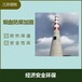 鍋爐煙囪安裝爬梯在線監(jiān)測平臺