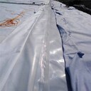 300g一布一膜土工布，農(nóng)業(yè)水池，吉林一布一膜土工布