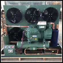 艾默生谷輪博澤制冷冷庫壓縮機(jī)組4YD-10.2吸氣閥片圖片
