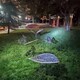 公园不锈钢镂空树叶雕塑样例图