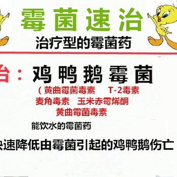 雞糞便過料用什么藥鴿子霉菌感染吃什么人藥