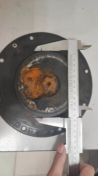 4寸脈沖閥膜片電磁脈沖閥膜片脈沖閥膜片生產(chǎn)商家