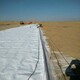 800g防水土工布，莲藕种植湖北防水土工布样例图