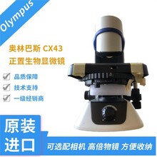 双目显微镜黑龙江奥林巴斯CX43三目显微镜结构和使用