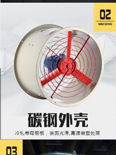 工业风机/排气扇380V220V防爆风机BT35-11图片