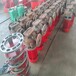 河南XBD-L立式單級消防泵價格
