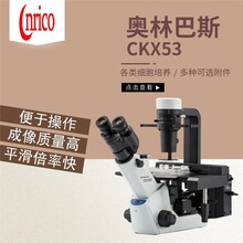 奥林巴斯CKX53正置生物显微镜湖北倒置生物显微镜是否连电脑