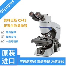 教师用显微镜海南奥林巴斯CX43暗场观察显微镜市场报价