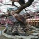 烏蘭察布室內(nèi)假樹室內(nèi)仿真樹造景大門產(chǎn)品圖