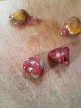 治療鴨子脾壞死的藥鴨呼腸孤病毒什么癥狀