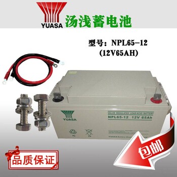 YUASA汤浅蓄电池NPL65-12胶体免维护命UPS蓄电池12V65AH