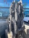 酒店假山魚池圖