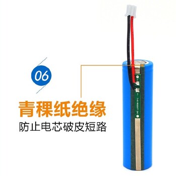 广东深圳销售厂家绿泊能源锂电池32650锂电池电动自行车
