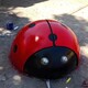 河北訂制玻璃鋼七星瓢蟲雕塑模型樣例圖