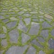 咸寧青石板圖