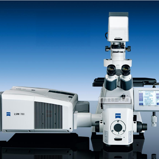激光卡尔蔡司共聚焦显微镜分辨率
