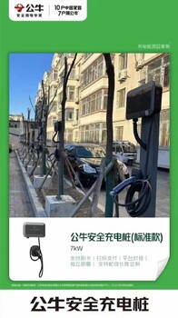 南头小型公牛新能源充电桩公牛充电桩销售