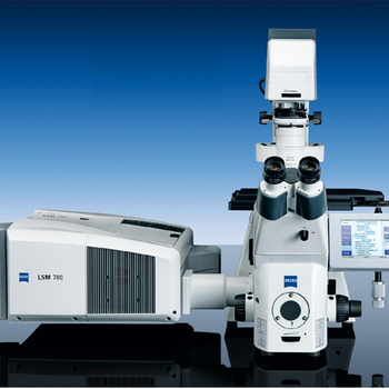 大同ZEISS共聚焦显微镜分辨率