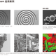 北京共聚焦显微镜图