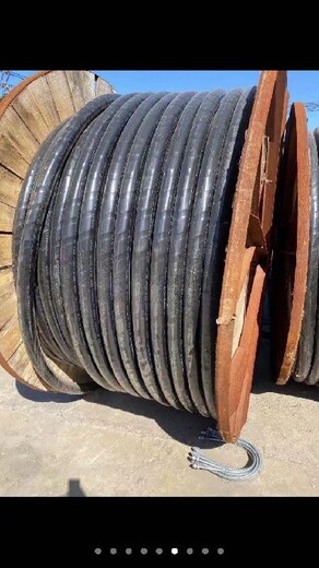 漳州高低压铜铝芯电力电缆回收报价及图片