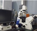 吉林ZEISS場發射顯微鏡多少錢