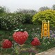 城市景观草莓雕塑图